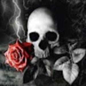 Meet your Posher, Shelby